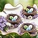 Exasinine 10 Pcs 5.5'' Artificial Bird Nest for Crafts, Easter, Party, Wedding, Patio Garden, Succulent Planter, Moss Landscape, DIY Terrarium and Spring Vignettes (5.5 Inches)