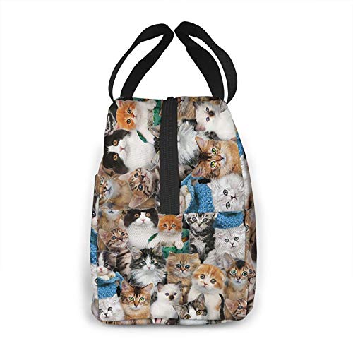 Cute Cats Lunch Bag For Women Insulated Thermal Lunch Tote For Work College Picnic Beach Park #TOP2