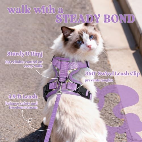 Image of rabbitgoo Cat Harness and Leash Set, Escape Proof Vest, Purr-ple Daisy | Soft Breathable Mesh, Easy Adjustable Fit, Snap Buckles, Sturdy Clip, Reflective Strips, for Medium to Large Cats Walks, M