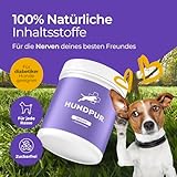 Hundpur Nerven 300 g - Zusatzfutter - Pellets für Hunde gegen Stress & Angst - Mit Johanniskraut, Lavendel & Magnesium - Stärkung der Nerven Hund - Made in Germany