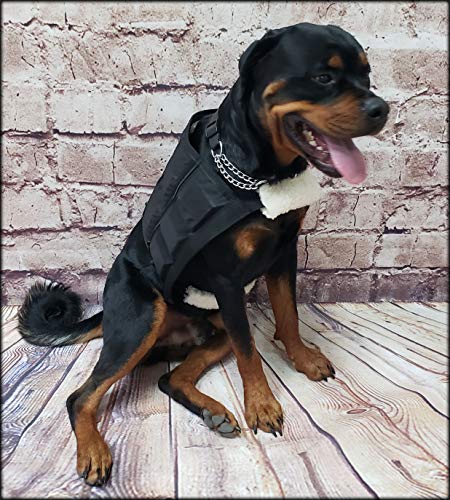 Activedogs Dog Muscle Building Weighted Vest - Pull Trainer Dog Endurance Builder (Med/Lg - Fits Girth 27" - 34") 8Lb Vest #TOP5