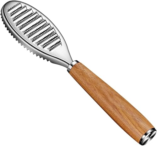 Cepillo de acero inoxidable para escamador de pescado, removedor de escamas de dientes de sierra, herramienta de eliminación de escamas para cocina,