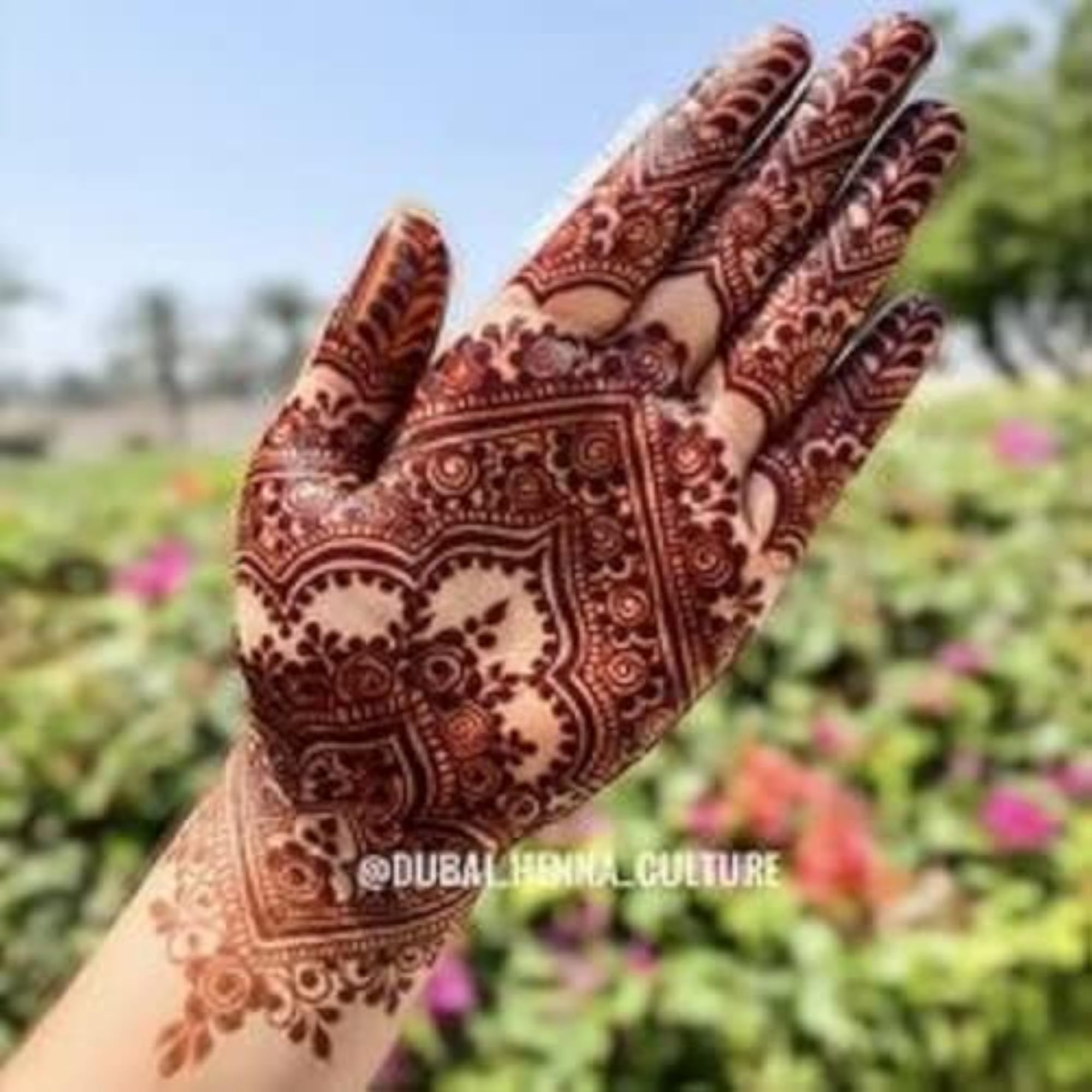 Natural Organic Sojat Henna Powder for Hair & Hand