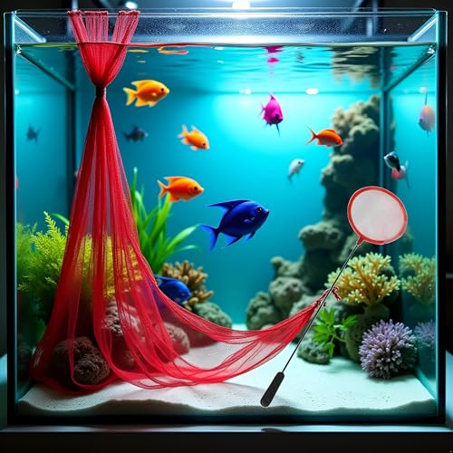 Image of 1Pc Random Color Aquarium Fish Net 3 Inches Fine Mesh Skimmer for Small Fish for Tank Catching Cleaning Net with 9 Inches Long Handle Aquarium Net Fine Mesh Cleaning Small
