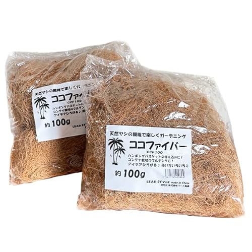 V̑@ RRVt@Co[ VRf ACfBA낢 1002Zbg