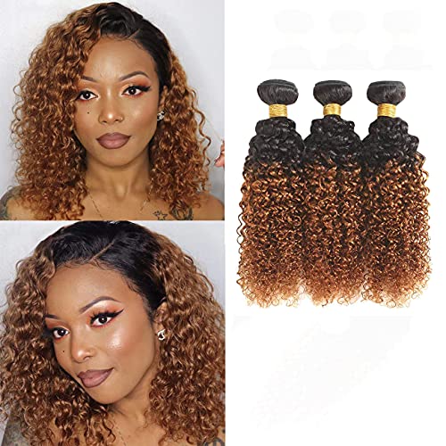 Dream Diana Ombre Bundles Kinky Curly Brazilian Virgin Human Hair Weave Curly Hair 3 Bundles T1b 30 Color (10 12 14), 1b30 kinky curly