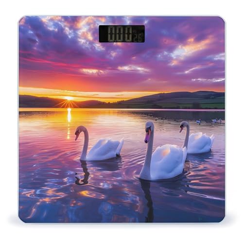 Swans in The Lake Landscape Scale for Body Weight Bathroom Digital Body Weight High Precision Scale for Home Office