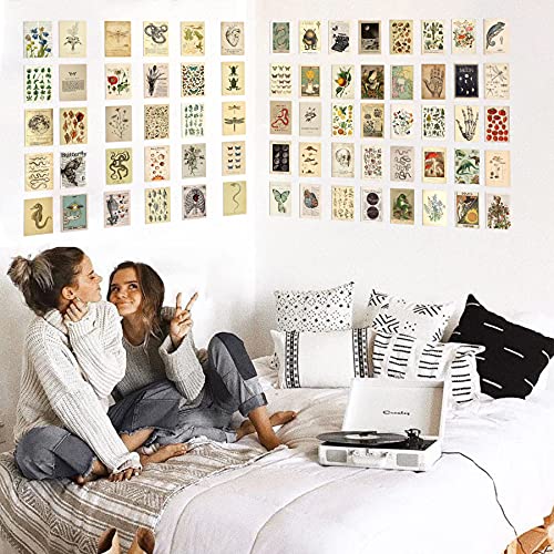 Koskimer 70Pcs Vintage Wall Collage Kit Aesthetic Pictures, Posters For Room Aesthetic Vintage, Cottagecore Room Decor For Bedroom Aesthetic, Cute Dorm Photo Collage For Teen Girls, Botanical Wall Art #TOP2