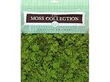 Quality Growers 5.68qt Reindeer Moss Med Chartreuse