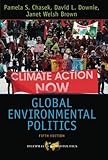 Global Environmental Politics (Dilemmas in World Politics)