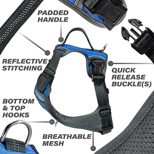 Black Rhino - The Comfort Dog Harness With Mesh Padded Vest For Small - Large Breeds | Adjustable | Reflective | 2 Leash Attachments On Chest & Back - Neoprene Padded Training Handle (Medium, Blue/Gr) #TOP1