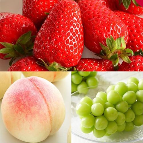 [定期便][全3回]和歌山フルーツ定期便( いちご 桃 シャインマスカット )[MG16]