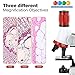 IQCREW ETXWJ04 100X-1200X LED Kids Beginner Microscope Toy Set + Slides Preparation Kit