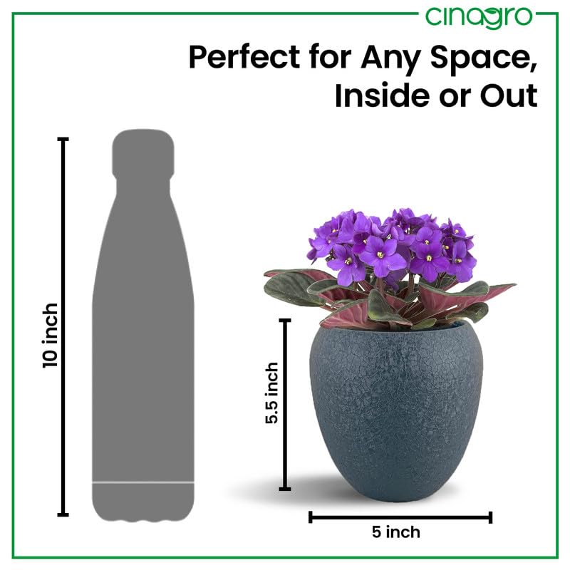 Image of CINAGRO Metal Planter Pot with Stand for Indoor Plants, Round Decorative Flower Pot, Rust-Resistant, Modern Plant Holder for Home, Balcony, Office (13.9 x 12.7 cm, Shadow Husk)