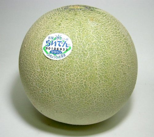 kCY@炢łNE Γ @8@5