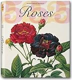 redoute kinder  Redouté, Rosen