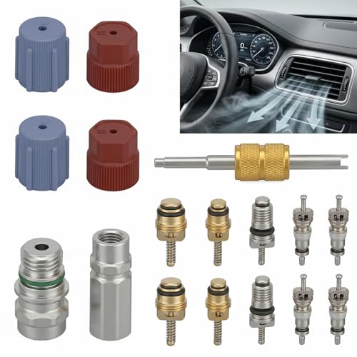 Fosaseua 17PCS Air Conditioning Valve Core Kit for R12 or R1