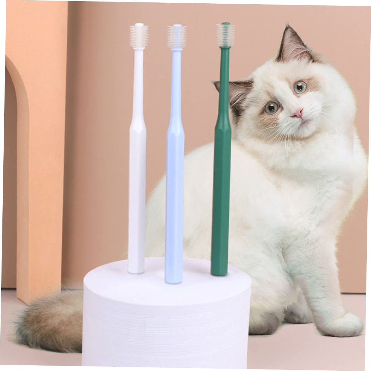 minkissy 12piezas Cepillos De Para Cepillo Oral Para y Gatos Limpieza De Encías y Tpe y Plástico Diseño Ergonómico
