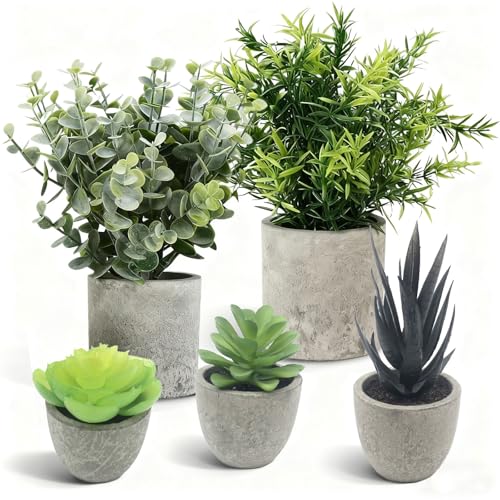 Druuzyl Juego de 5 Plantas Artificiales Decorativas en Maceta Mini Macetas Artificiales Lengua de Serpiente Maceta Decorativa Eucalipto, Planta Artificial Realista para Decoración Hogar