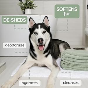 New-Hartz-True-Coat-Thick-Coat-Dog-Shampoo-Desheds-Softens-with-Oat-Milk-Coconut-Oil-Aloe - Cucciolini Doodles   New-Hartz-True-Coat-Thick-Coat-Dog-Shampoo-Desheds-Softens-with-Oat-Milk-Coconut-Oil-Aloe