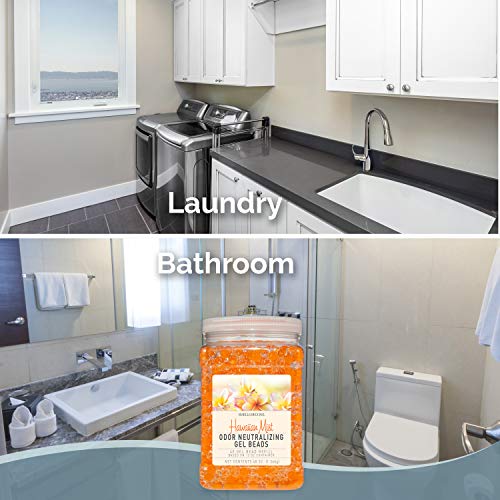 Smells Begone Odor Eliminator Gel Bead Refill - Eliminates Odors From Bathrooms, Cars, Boats, Rvs & Pet Areas - Air Freshener - Made With Essential Oils - Hawaiian Mist Scent - 48 Ounce #TOP5