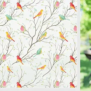 COLORMATE Window Stickers Vinyl Glass Film Frosted Privacy Film for Bathroom, Opaque Static Cling Heat Control Door Sticker for Home Office - Sparkling Birds (24x24 Inch)