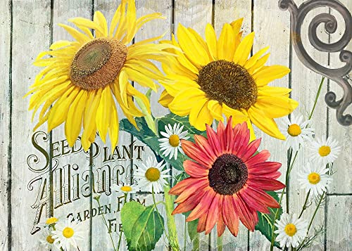 Farm Seed Sunflowers Poster Print - Licensing Studio Art (24 x 18)
