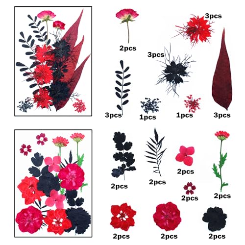 Cayway 64 PCS Dried Pressed Flowers for Resin, Red and Black Real Pressed Flowers, Dry Leaves Natural Dried Pressed Leaves for Christmas Art Crafts Resin Scrapbook (Red-Black-3) by Cayway - Image 2