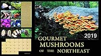 Gourmet Mushrooms of the Northeast 2019 1532310234 Book Cover