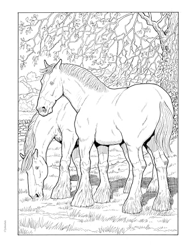Adult Coloring Great Horses Coloring Book (Adult Coloring Books: Animals) - Image 9