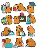 12PCS Capybara Shoe Charms for Croc Bubble Slides Clogs Sandals, Animals Shoe Accessories Decorations for Girls Women Teens Adults