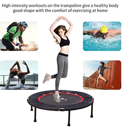 Image of Dolphy 48 inch Foldable Mini Trampoline, Exercise Trampoline for Kids or Adults, Indoor,Garden /Workout Cardio Fitness Rebounder Trampoline with Safety Pad. - Max Load 100 kg.