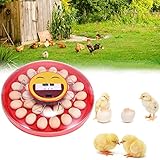InLoveArts Incubadora Automática de Huevos 30 Huevos, Incubadora Digital de Huevos Incubadora con giro automático de huevos y control de temperatura y humedad