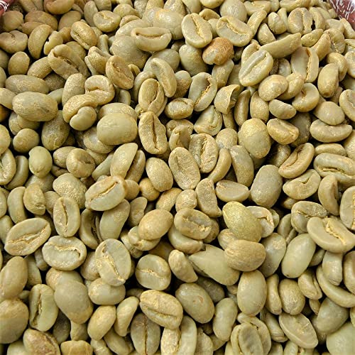 R[q[ y[Y _ w엿͔|   2lbs 907g