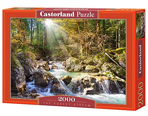 Castorland - C-200382-2 - Puzzle - Torrent de Forêt - 2000 Pièces