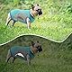 Hundekühlweste,Sommer Cool und Bequem Hundemantel Atmungsaktiv Mesh Hundejacke mit Reflektorstreifen,Leichte Hunde-EIS-Kühlung T-Shirts für kleine bis mittelgroße Hunde (XXL, Grün)