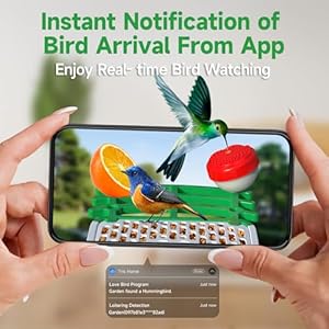 Bird Feeder with Camera GTSABWAY Smart AI Identify Birds Camera with Solar Powered Wireless Auto Record 1080P Birds Video in Backyard Instant Notifications Green
