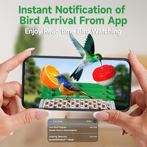 Bird-Feeder-with-Camera-GTSABWAY-Smart-AI-Identify-Birds-Camera-with-Solar-Powered-Wireless-Auto-Record-1080P-Birds-Video-in-Backyard-Instant-Notifications-Green Bird Feeder with Camera GTSABWAY Smart AI Identify Birds Camera with Solar Powered Wireless Auto Record 1080P Birds Video in Backyard Instant Notifications Green