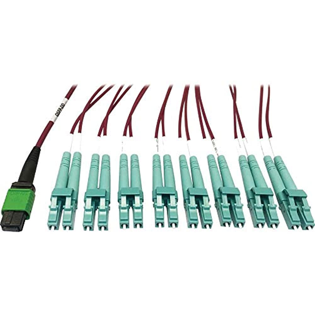 Amazon | Tripp Lite MMF 光ファイバブレイクアウトケーブル 16F MTP