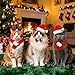 4 Stück Weihnachten Hundekostüm Haustier Weihnachtskostüm Accessoires Set für Hunde Katzen Rotes Weihnachtsmann Hut Hirschgeweih Stirnband Fliege Schal für Kleine Hunde Katzen Haustier