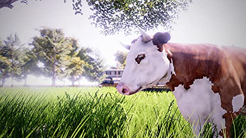 Real Farm Premium Edition (Xbox Series X)