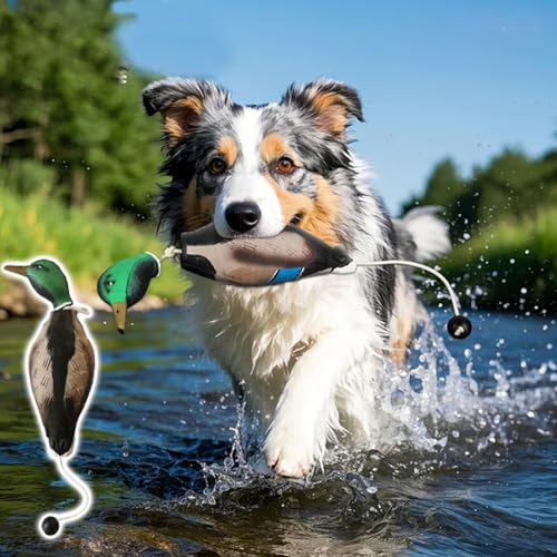 GOMETY Enten Dummy Stoßstange, Mallard Mimics Duck Stoßfänger Spielzeug, Dummy Hundetraining Trainer Für Falsche Enten, Jagdhundezubehör Für Das Training Der Jagdhund Retriever Fähigkeiten