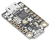 Produkttyp: Embedded Development Kits