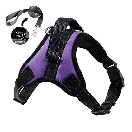 Keysui Chien Harnais Néoprène Réglable pour Animaux de Compagnie Harnais Rembourré Anti-traction pour Chien avec Poignée violet S Cover