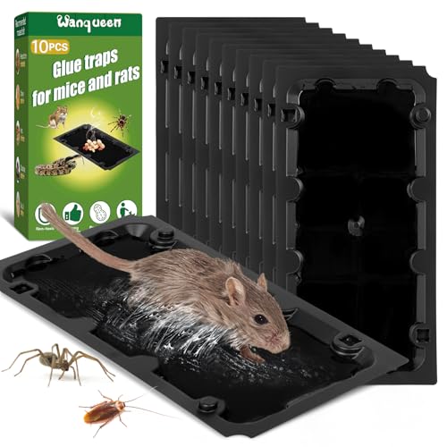 10 Pack Sticky Mouse Trap Rat Trap Indoor, Peanut Taste Pheromone Mouse Traps Indoor for Home, Glue Sticky Traps for Mice and Rats, Snake(Large Size)