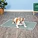 The Green Pet Shop Cool Pet Pad - Extra Large, Sage Grey - Self-Cooling, Pressure Activated Mat for Dogs & Cats from 9-20 lbs - Non-Toxic Gel, No Water Needed