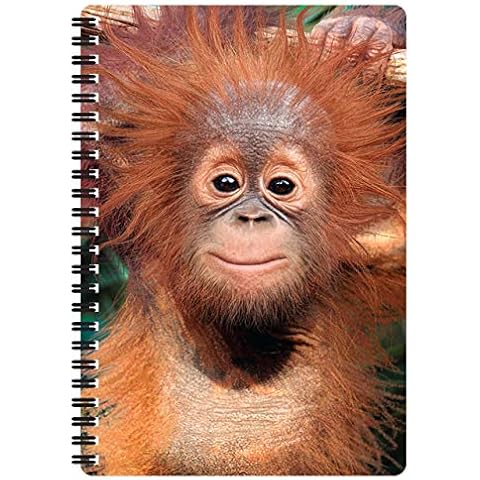 Carnet 3D A5 Bébé Orang-Outan - Deluxebase Cover