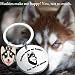 Imagen de PLITI Husky