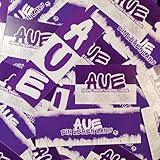 Fan-Kultur Xperience