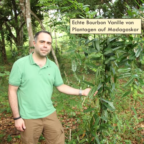 40g Bio Vanillepulver aus Madagaskar | gemahlene Bourbon Vanilleschoten aus k.b.A. | zum Backen und Kochen | Pures Vanille Aroma | Top Vanille Qualität